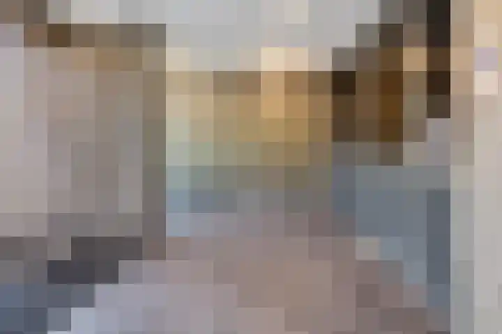 Beneluxlaan 377 Heemskerk thumbnail 7
