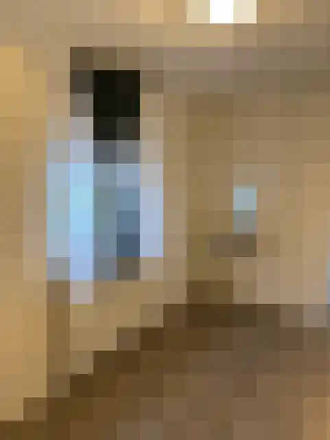 Beneluxlaan 4 Tilburg thumbnail 4