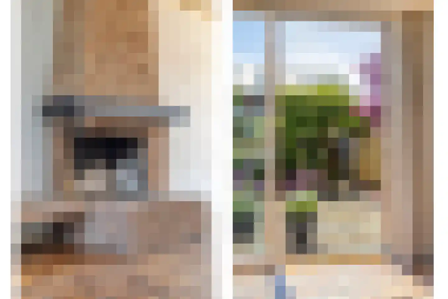Beneluxlaan 4 Vlijmen thumbnail 12