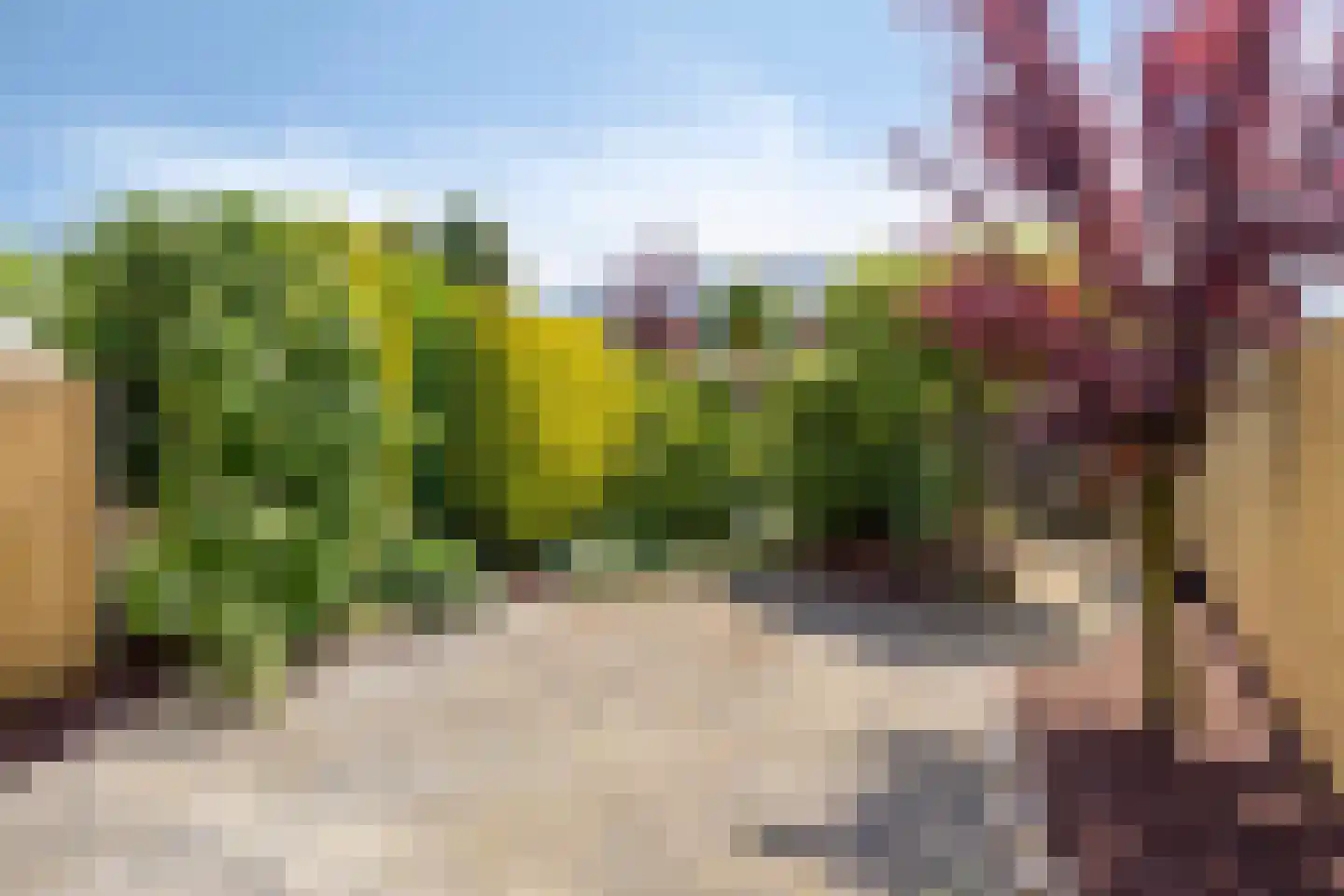 Beneluxlaan 4 Vlijmen thumbnail 29