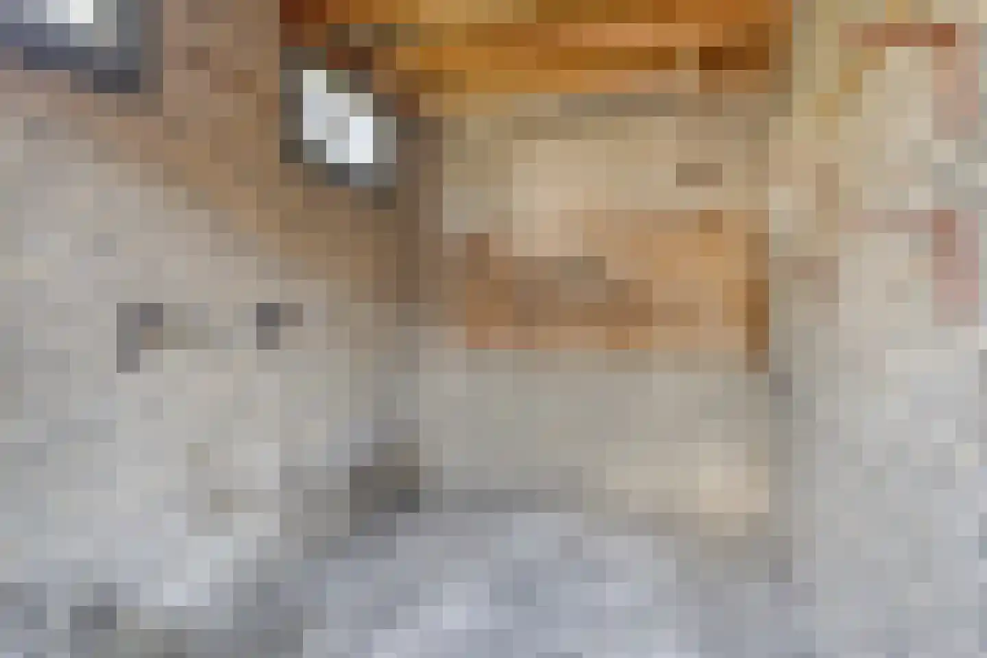 Beneluxlaan 4 Vlijmen thumbnail 34