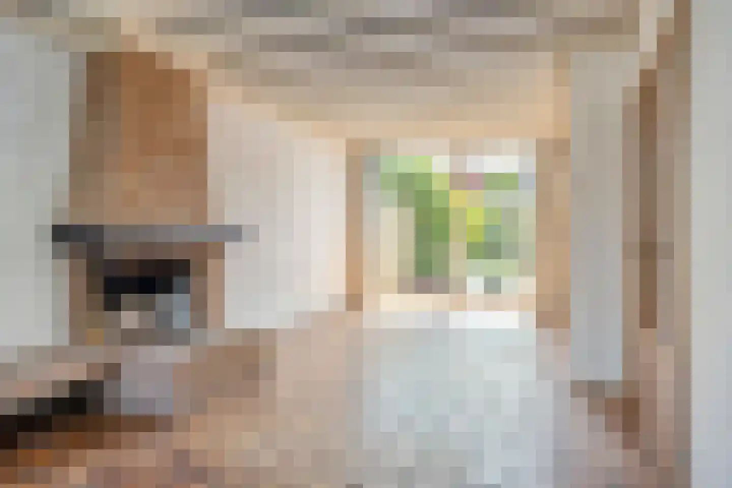 Beneluxlaan 4 Vlijmen thumbnail 8