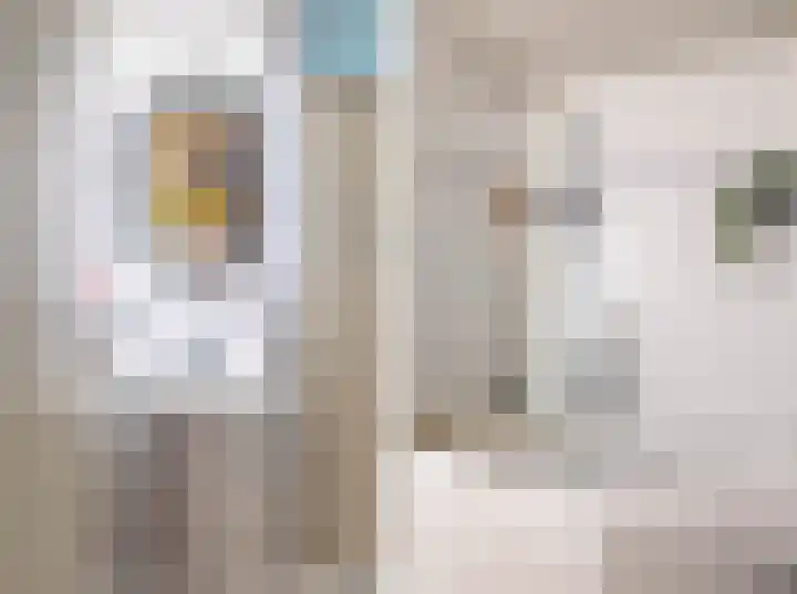 Beneluxlaan 421 Heemskerk thumbnail 18