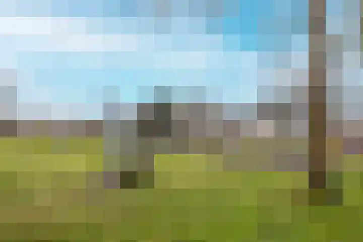 Beneluxlaan 421 Heemskerk thumbnail 19