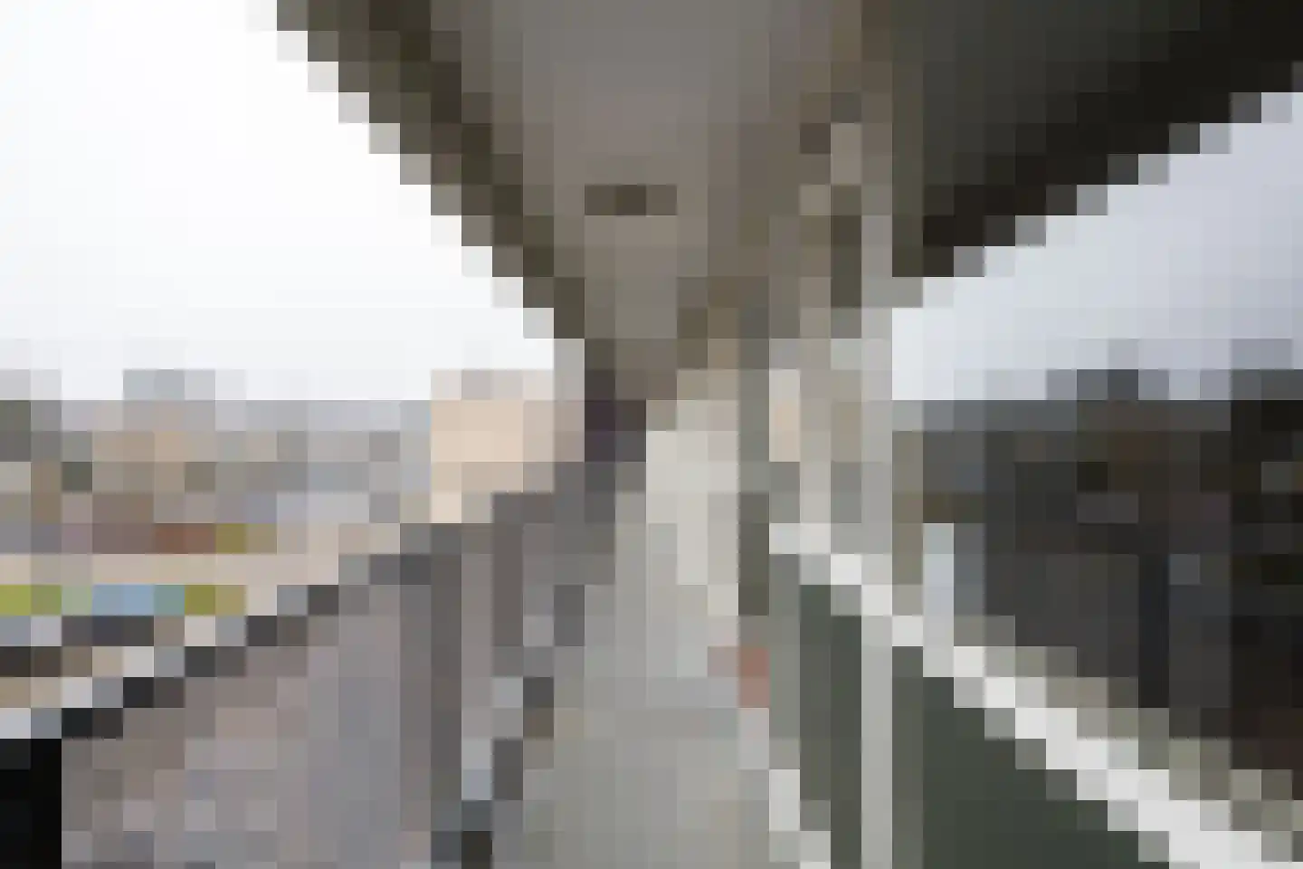 Beneluxlaan 44 Utrecht thumbnail 39