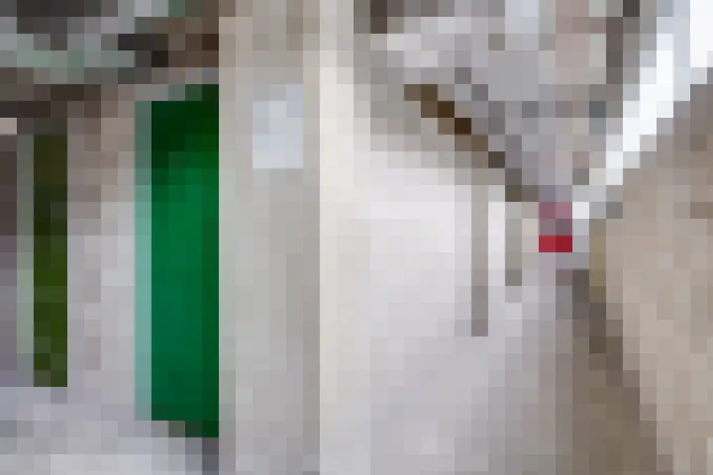 Beneluxlaan 44 Utrecht thumbnail 43