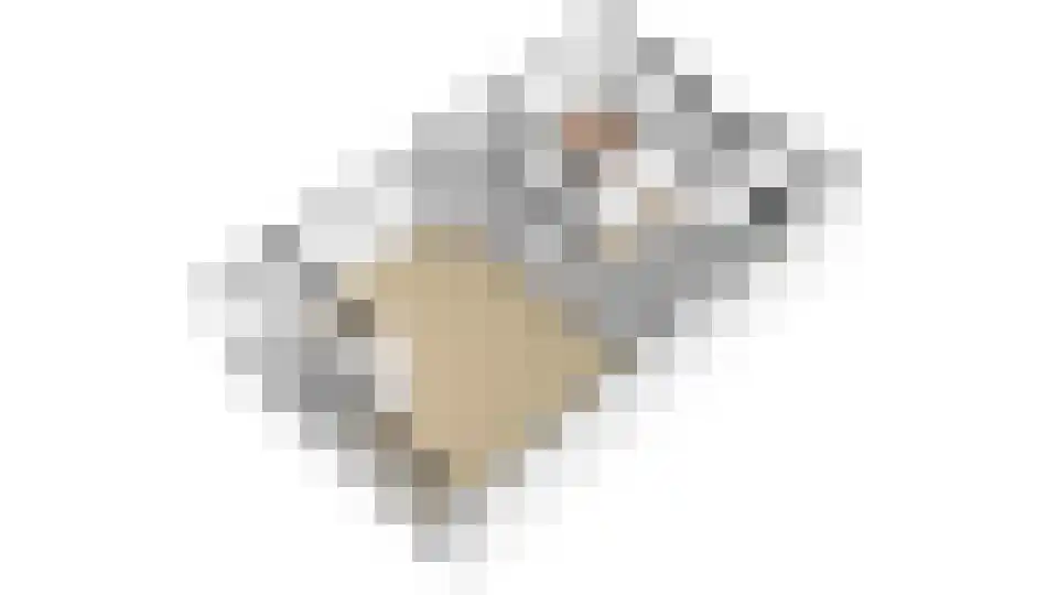 Beneluxlaan 44 Utrecht thumbnail 58
