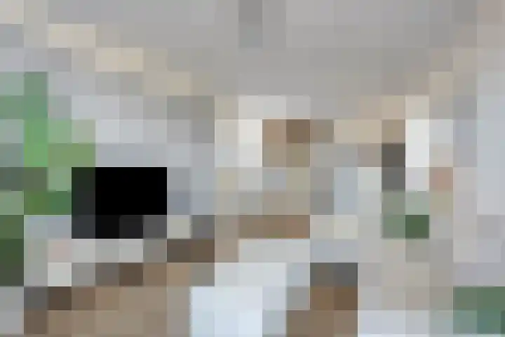 Beneluxlaan 451 Heemskerk thumbnail 6