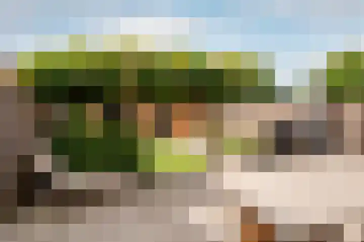 Beneluxlaan 46 Harderwijk thumbnail 32