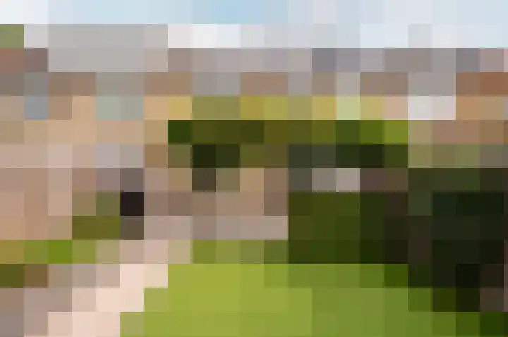 Beneluxlaan 46 Harderwijk thumbnail 38