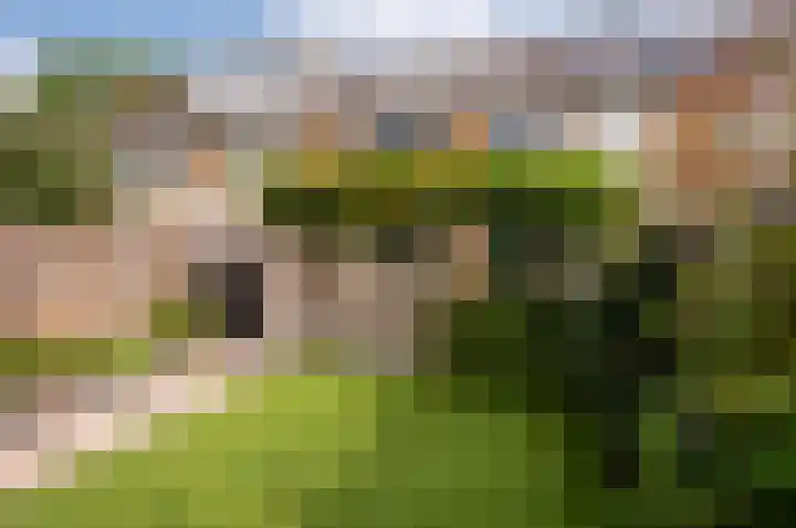 Beneluxlaan 46 Harderwijk thumbnail 39