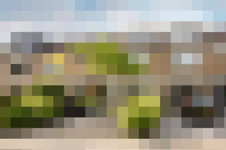 Beneluxlaan 46 Harderwijk thumbnail 42