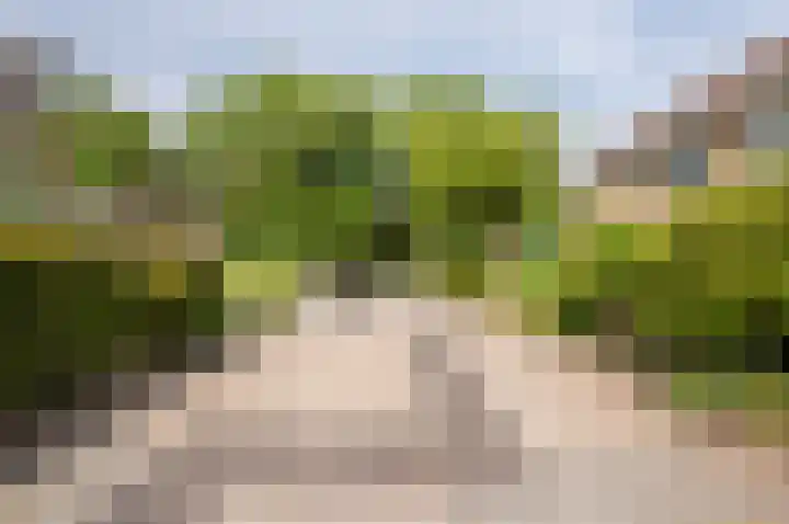Beneluxlaan 46 Harderwijk thumbnail 43