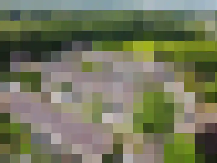 Beneluxlaan 46 Harderwijk thumbnail 45