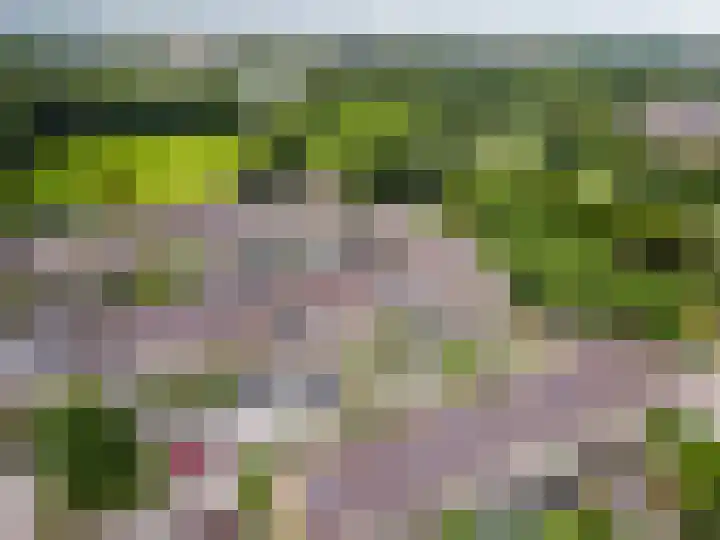 Beneluxlaan 46 Harderwijk thumbnail 47