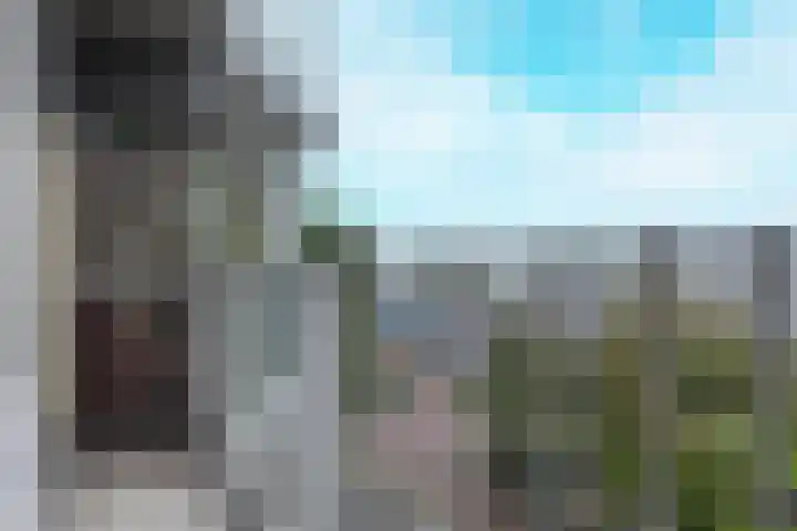 Beneluxlaan 465 Heemskerk thumbnail 14