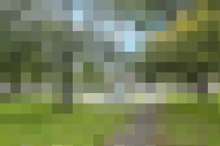 Beneluxlaan 465 Heemskerk thumbnail 23