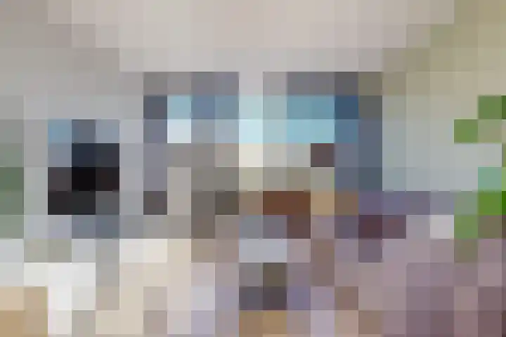 Beneluxlaan 47 Beverwijk thumbnail 8