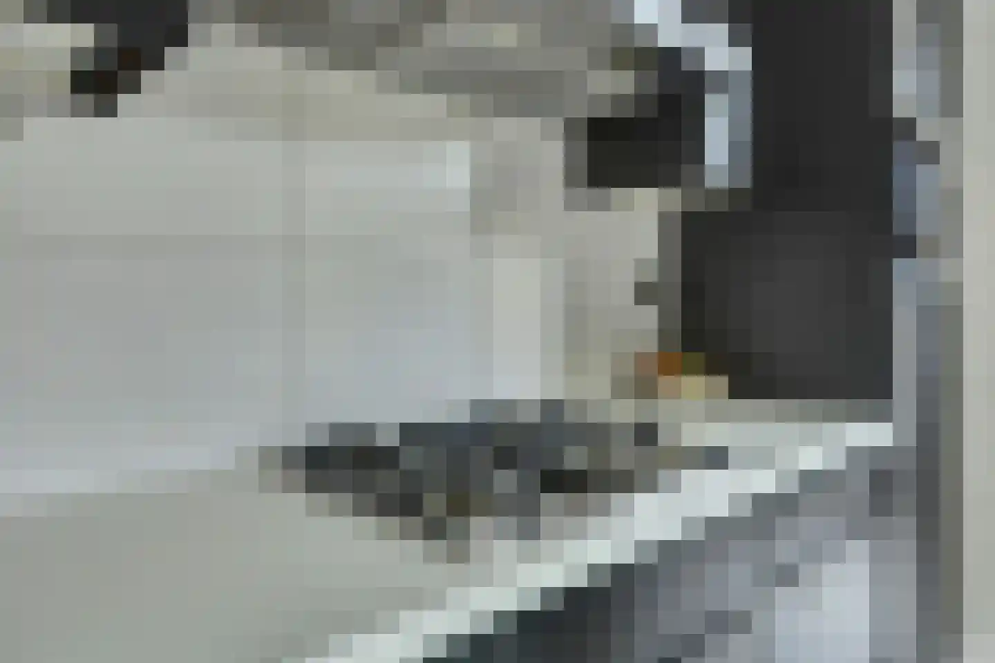 Beneluxlaan 47 Dongen thumbnail 20