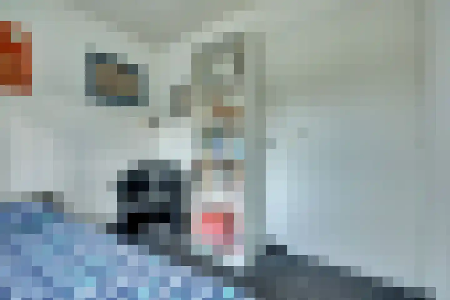 Beneluxlaan 47 Dongen thumbnail 28