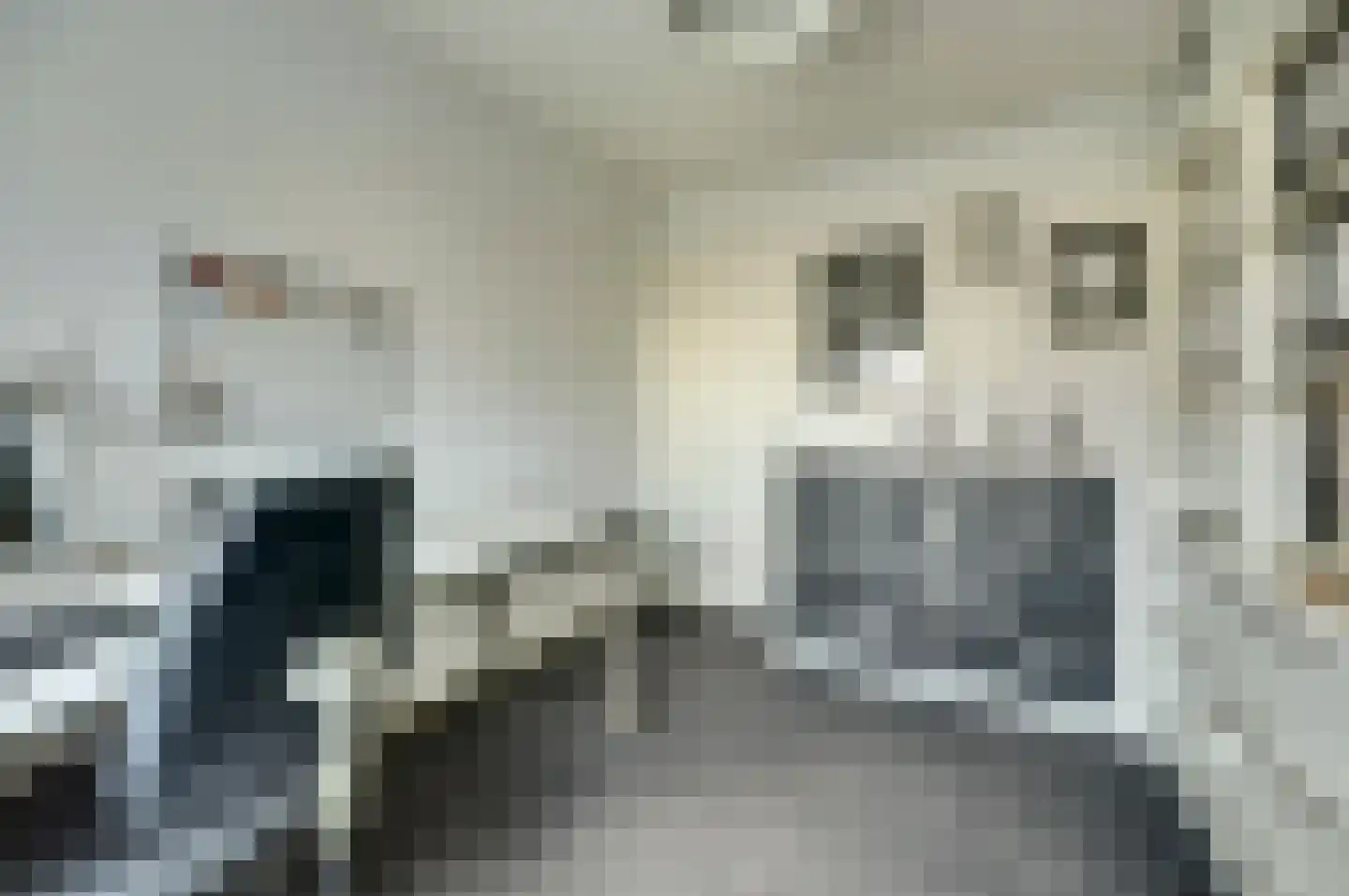 Beneluxlaan 47 Dongen thumbnail 30