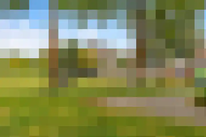 Beneluxlaan 503 Heemskerk thumbnail 18