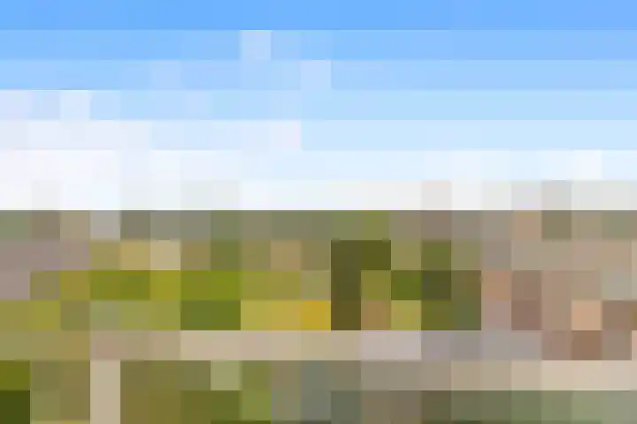 Beneluxlaan 503 Heemskerk thumbnail 5
