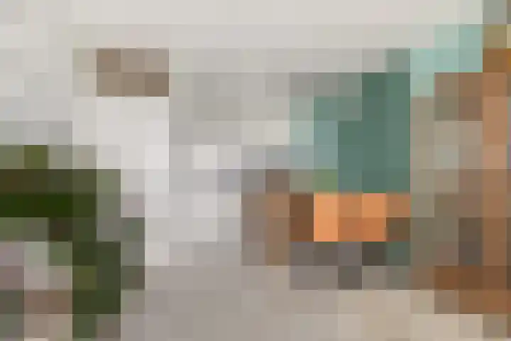 Beneluxlaan 503 Heemskerk thumbnail 7