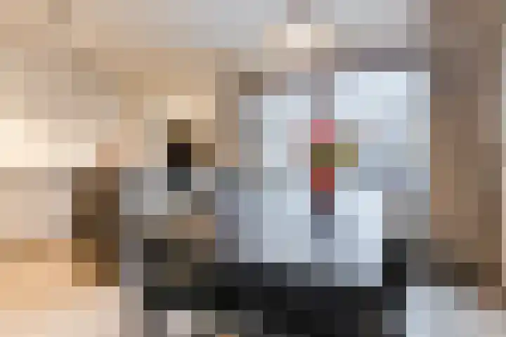 Beneluxlaan 51 Dongen thumbnail 10