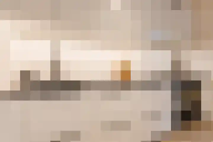 Beneluxlaan 51 Dongen thumbnail 16