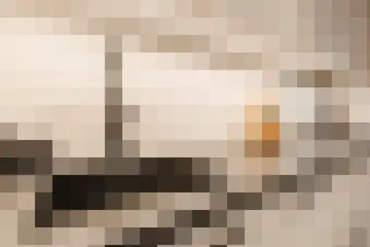 Beneluxlaan 51 Dongen thumbnail 17