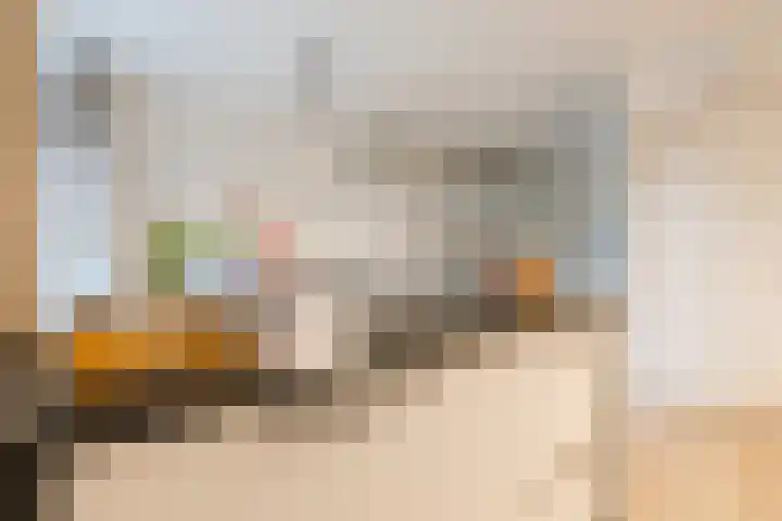 Beneluxlaan 51 Dongen thumbnail 20