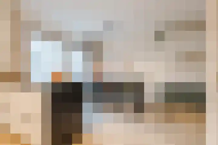 Beneluxlaan 51 Dongen thumbnail 21