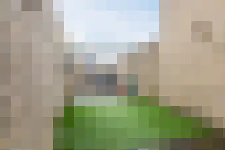 Beneluxlaan 51 Dongen thumbnail 22