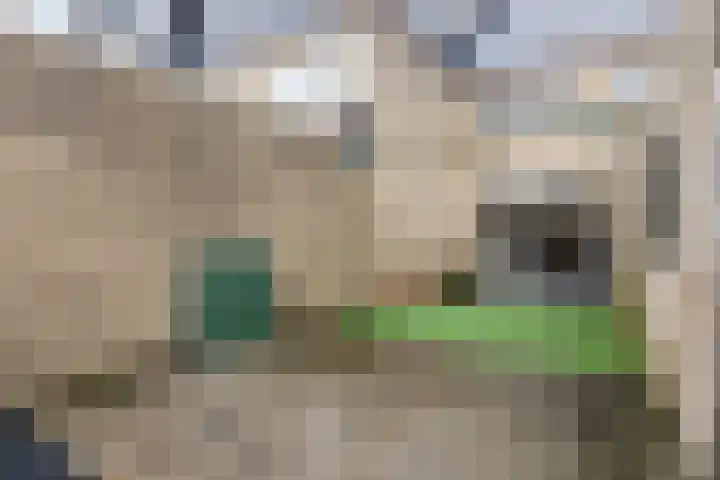 Beneluxlaan 51 Dongen thumbnail 25