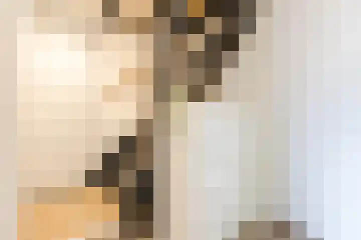 Beneluxlaan 51 Dongen thumbnail 28