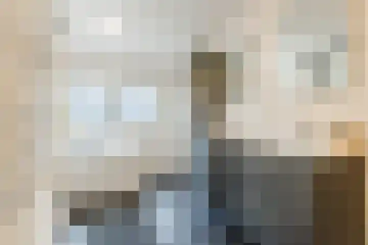 Beneluxlaan 51 Dongen thumbnail 39