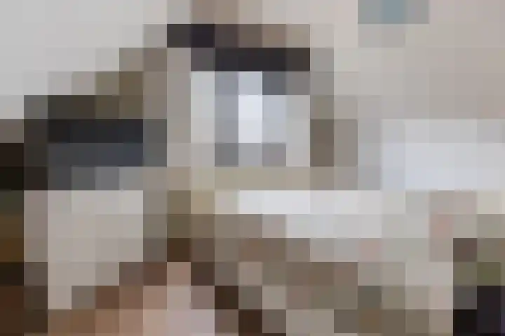 Beneluxlaan 51 Dongen thumbnail 45