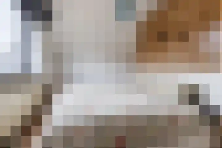 Beneluxlaan 51 Dongen thumbnail 46
