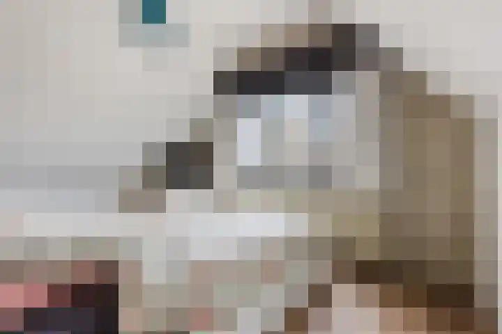 Beneluxlaan 51 Dongen thumbnail 47