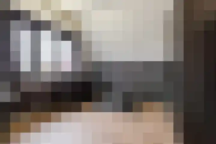 Beneluxlaan 51 Dongen thumbnail 49