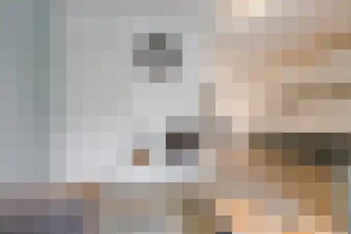 Beneluxlaan 51 Dongen thumbnail 6