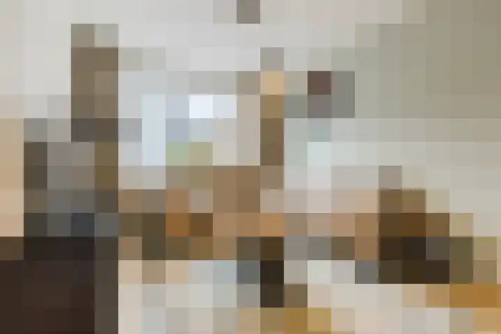 Beneluxlaan 51 Dongen thumbnail 8