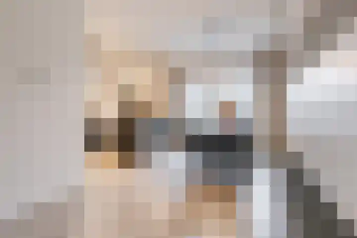 Beneluxlaan 51 Dongen thumbnail 9