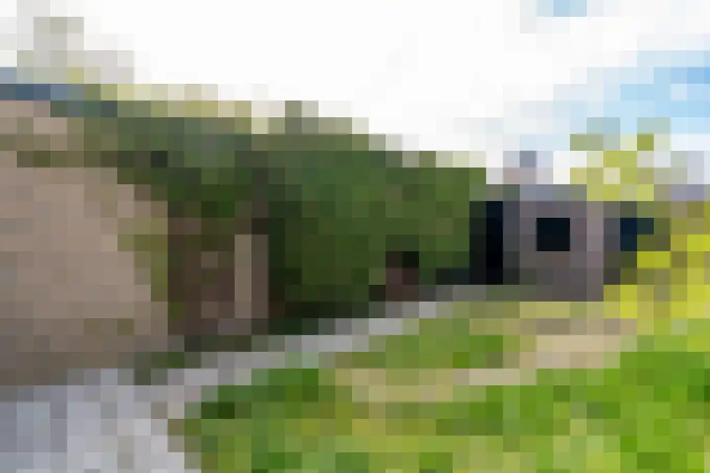 Beneluxlaan 51 Tilburg thumbnail 27