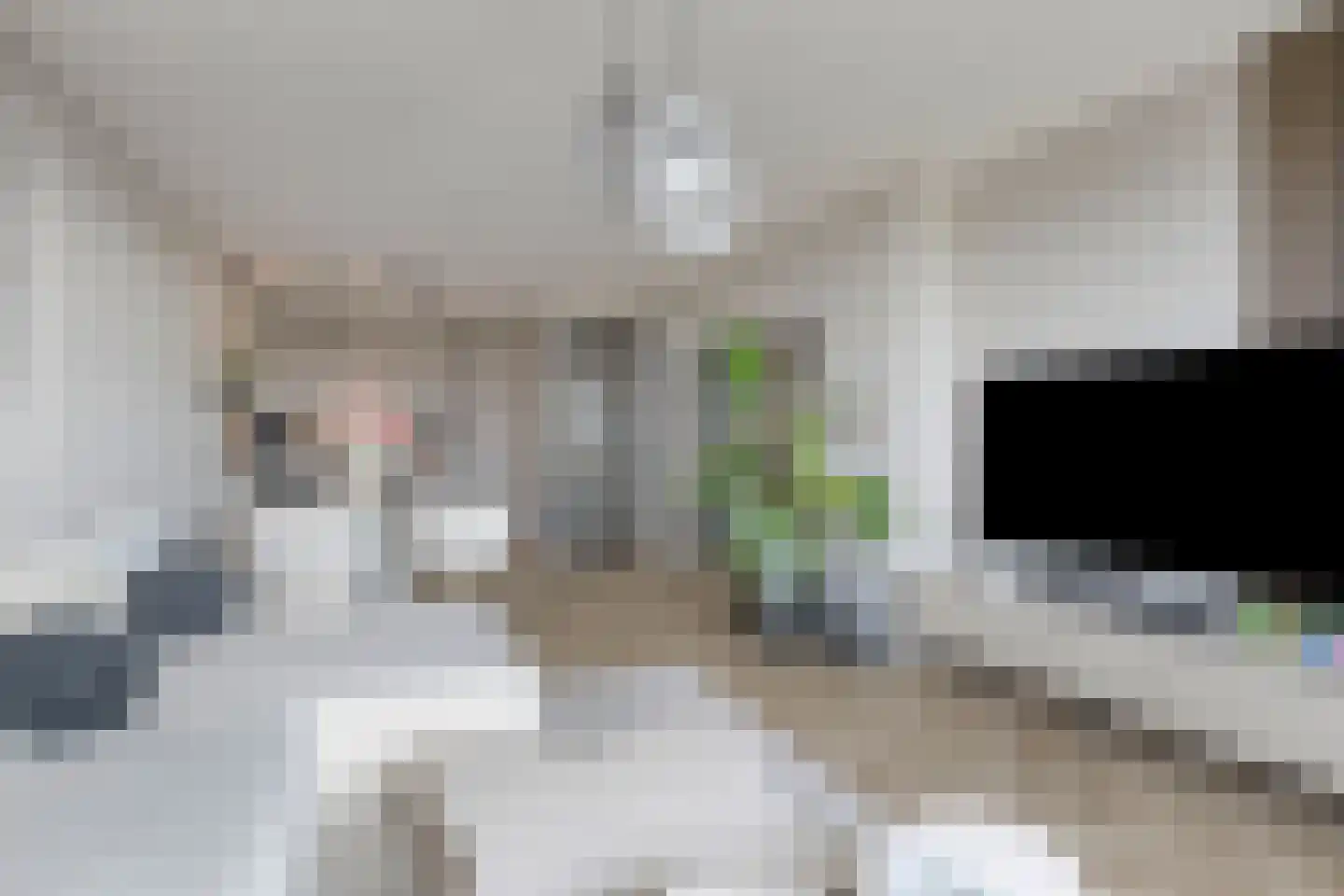 Beneluxlaan 525 Heemskerk thumbnail 4