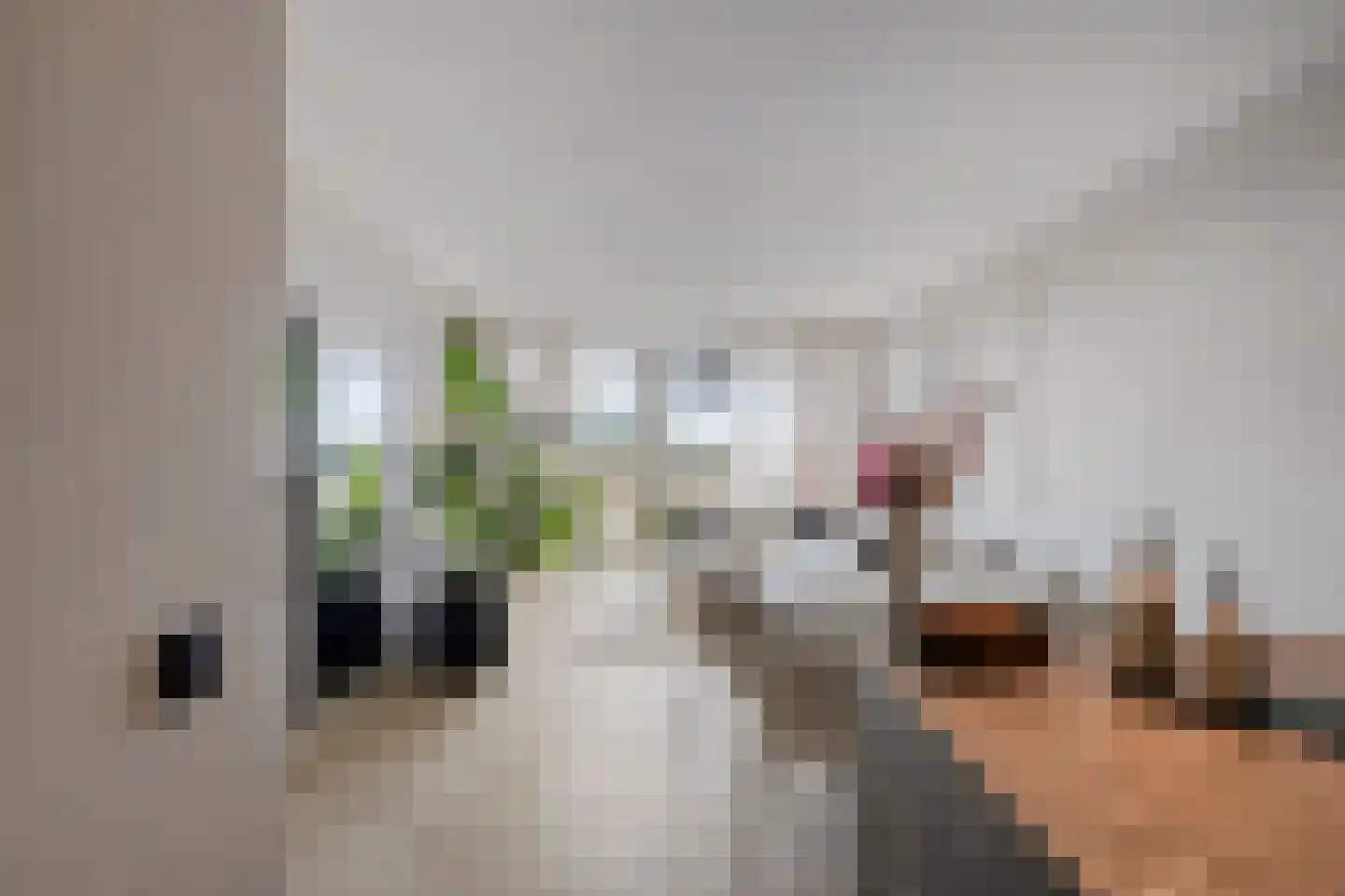 Beneluxlaan 525 Heemskerk thumbnail 7