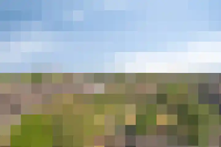 Beneluxlaan 551 Heemskerk thumbnail 17