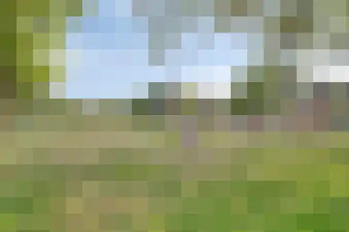 Beneluxlaan 551 Heemskerk thumbnail 18