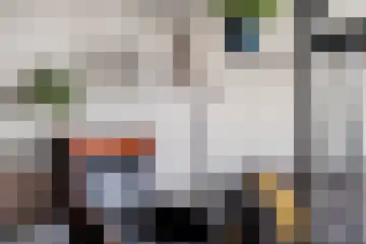 Beneluxlaan 551 Heemskerk thumbnail 4